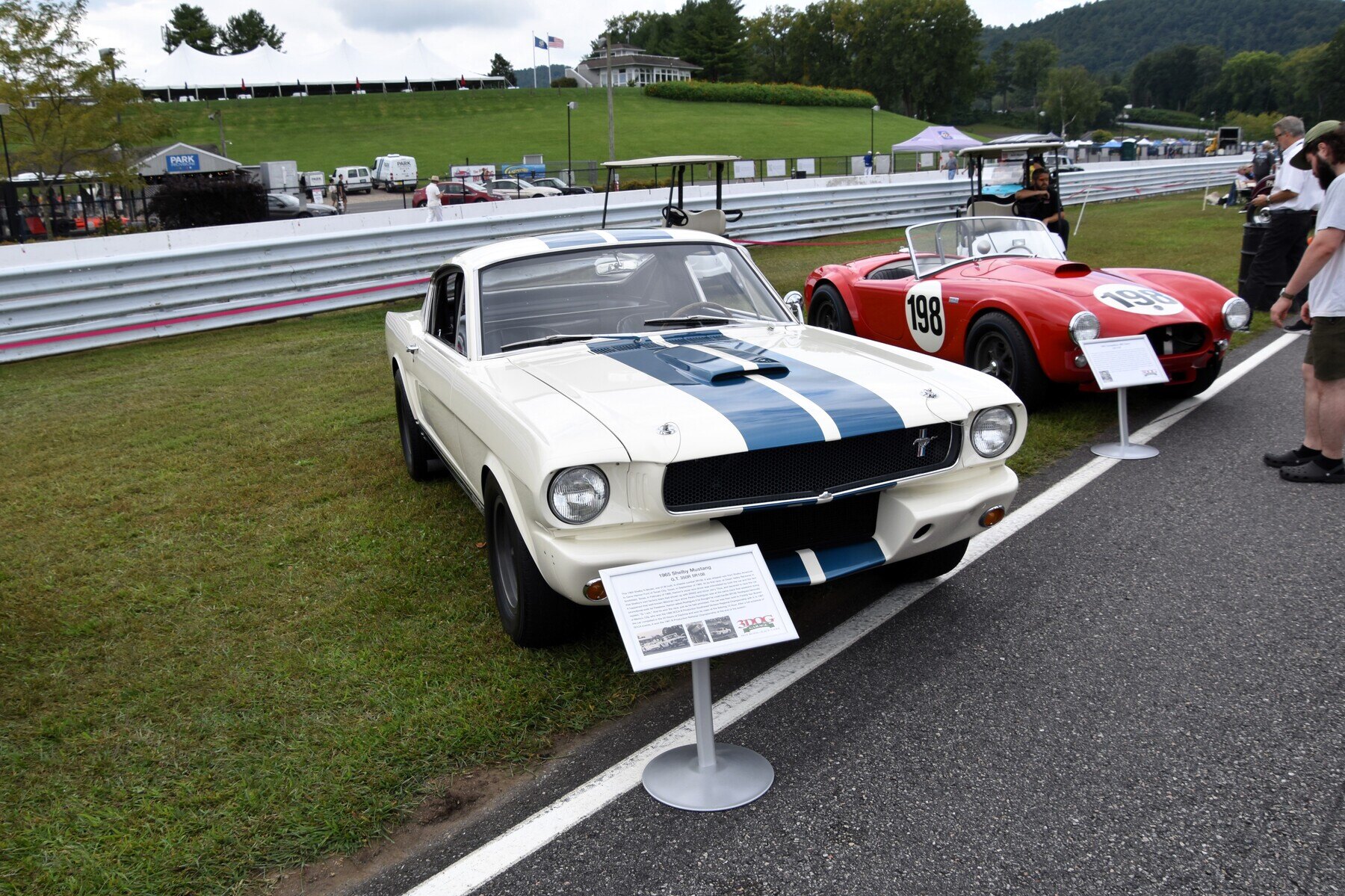 1965 Ford Mustang Shelby GT350 fastback
