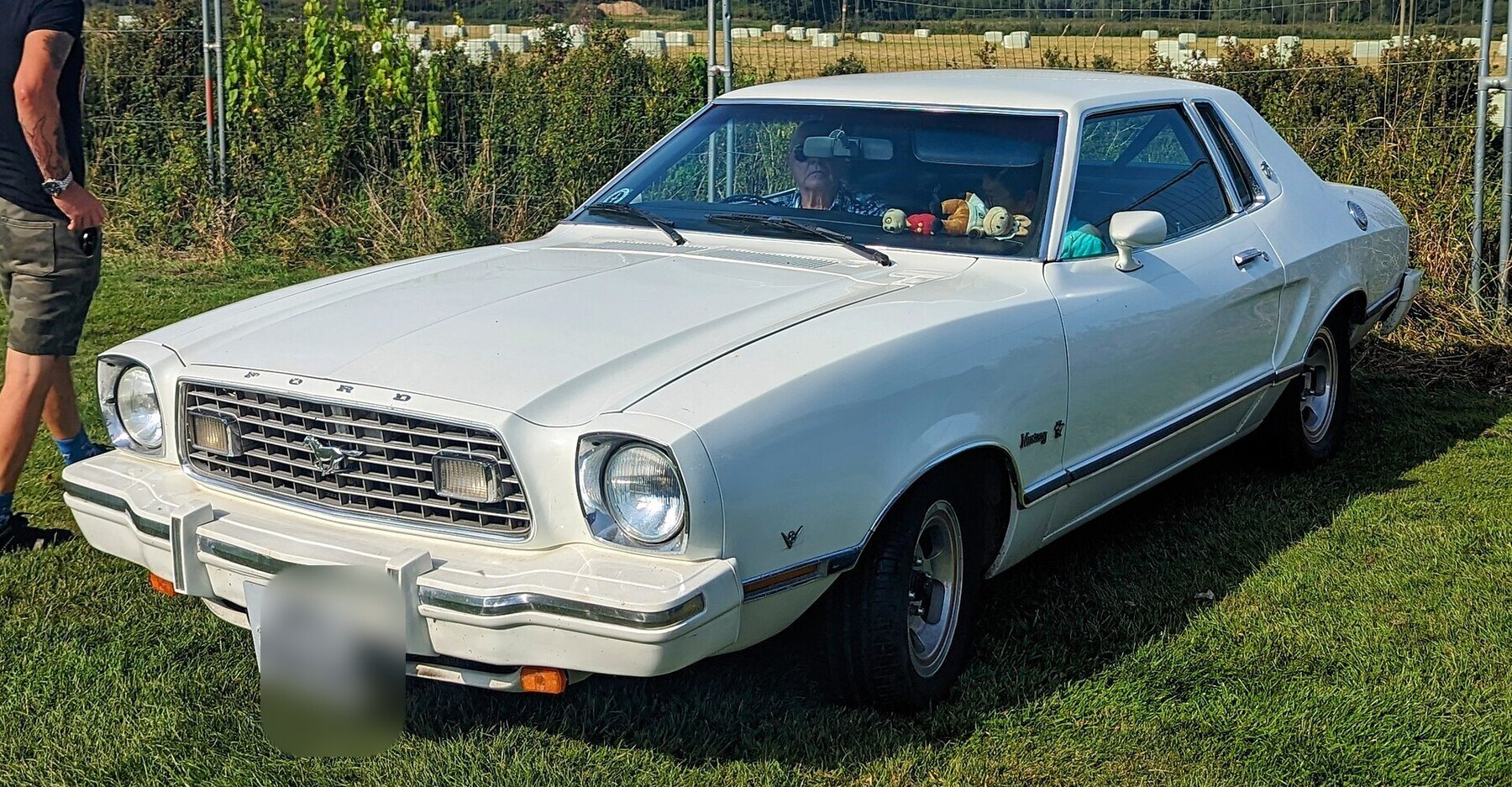 1975 Ford Mustang 5.0L