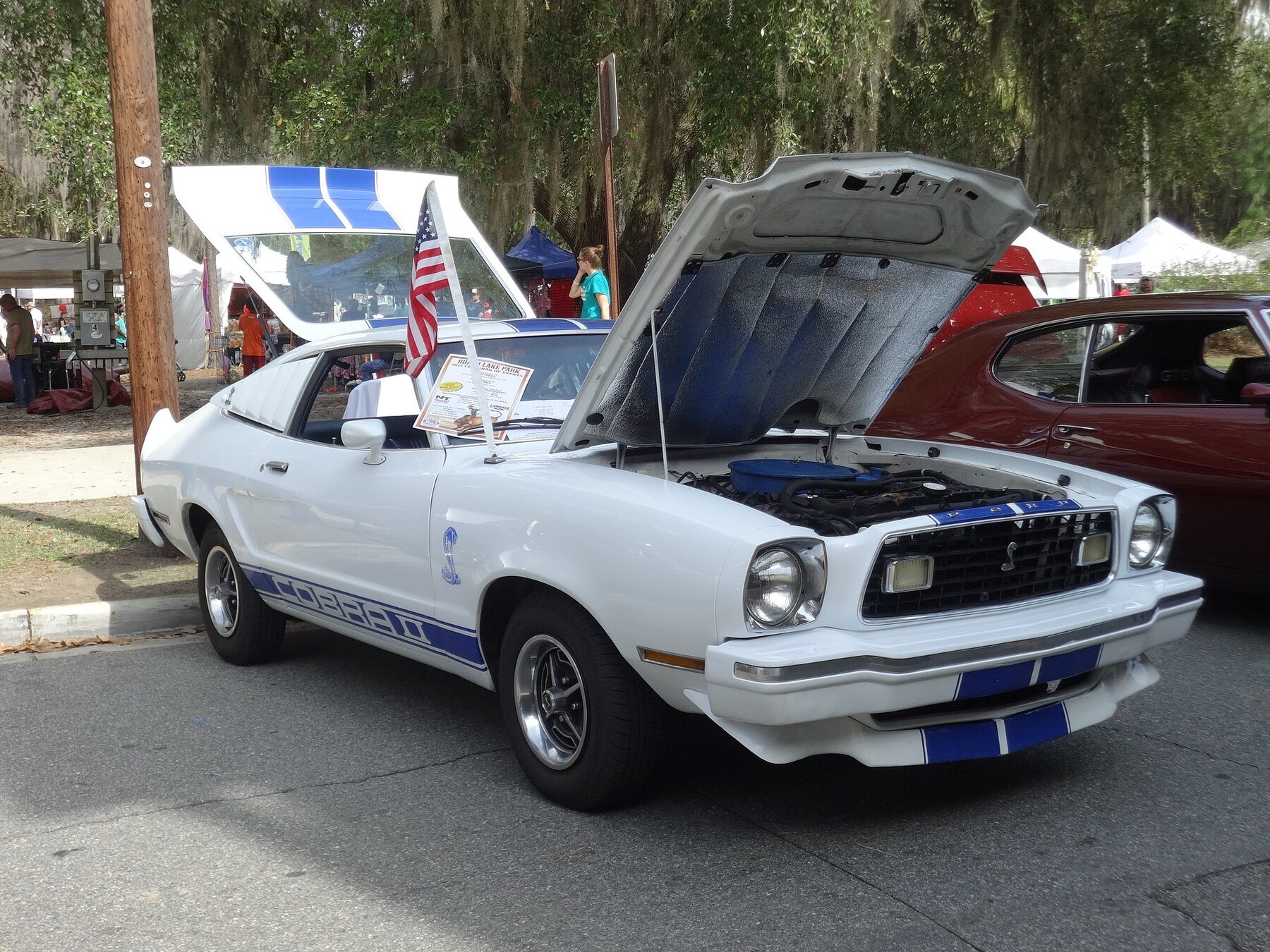 Azalea Festival 2015 28