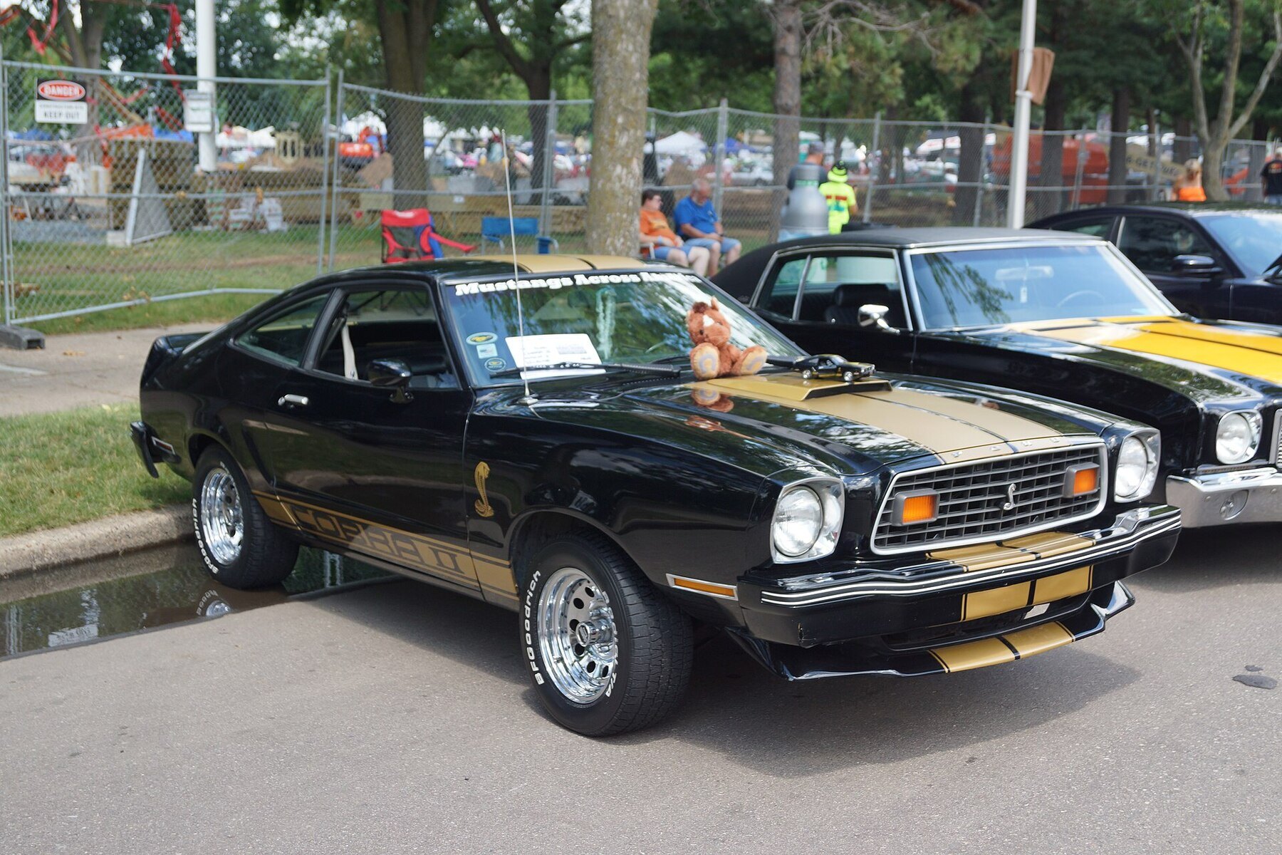 1978 Ford Mustang Cobra II