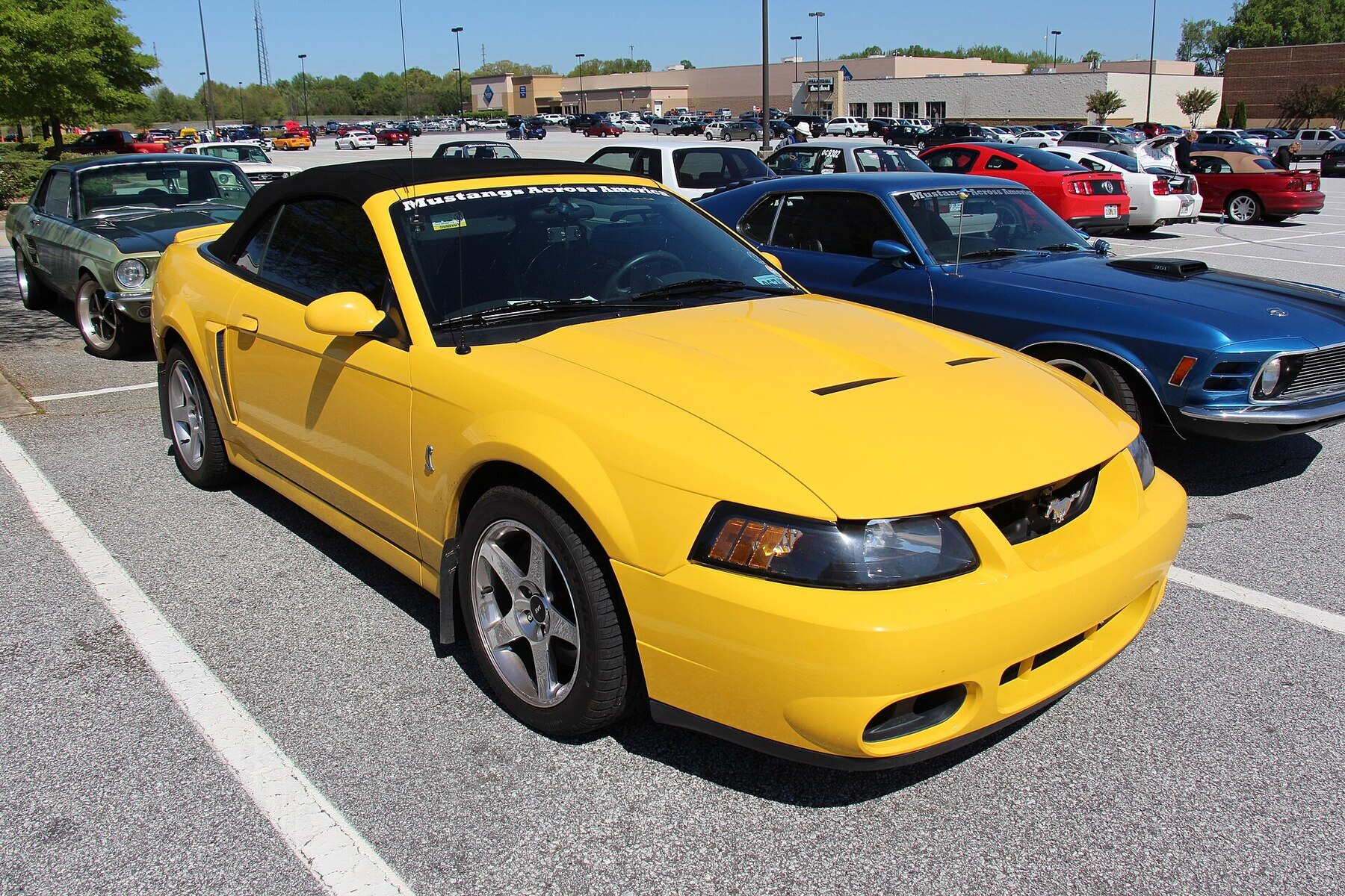 2001 Ford Mustang SVT Cobra Convertible