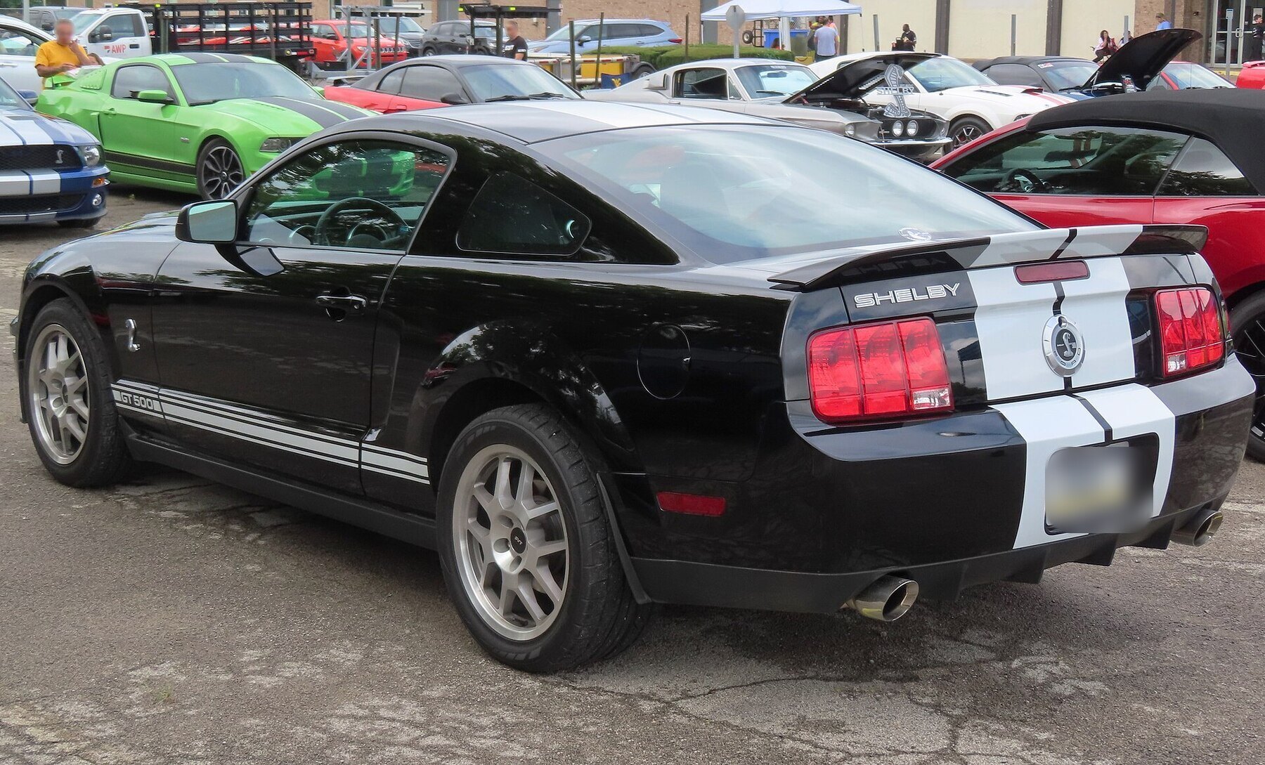 2008 Ford Mustang Shelby GT500 Coupe, rear left, 07-02-2023