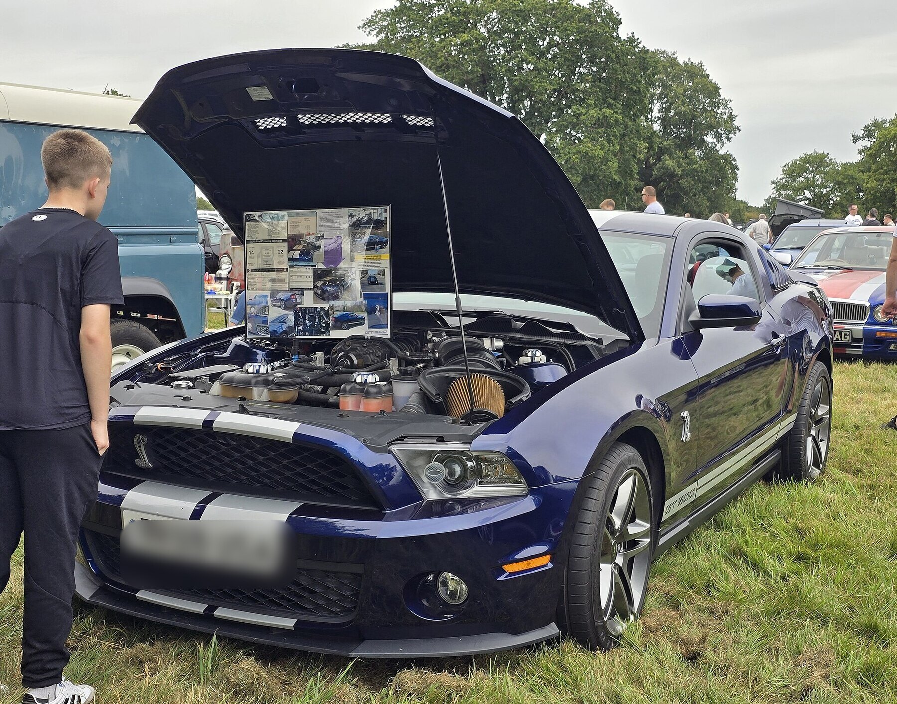 2009 Ford Mustang GT500