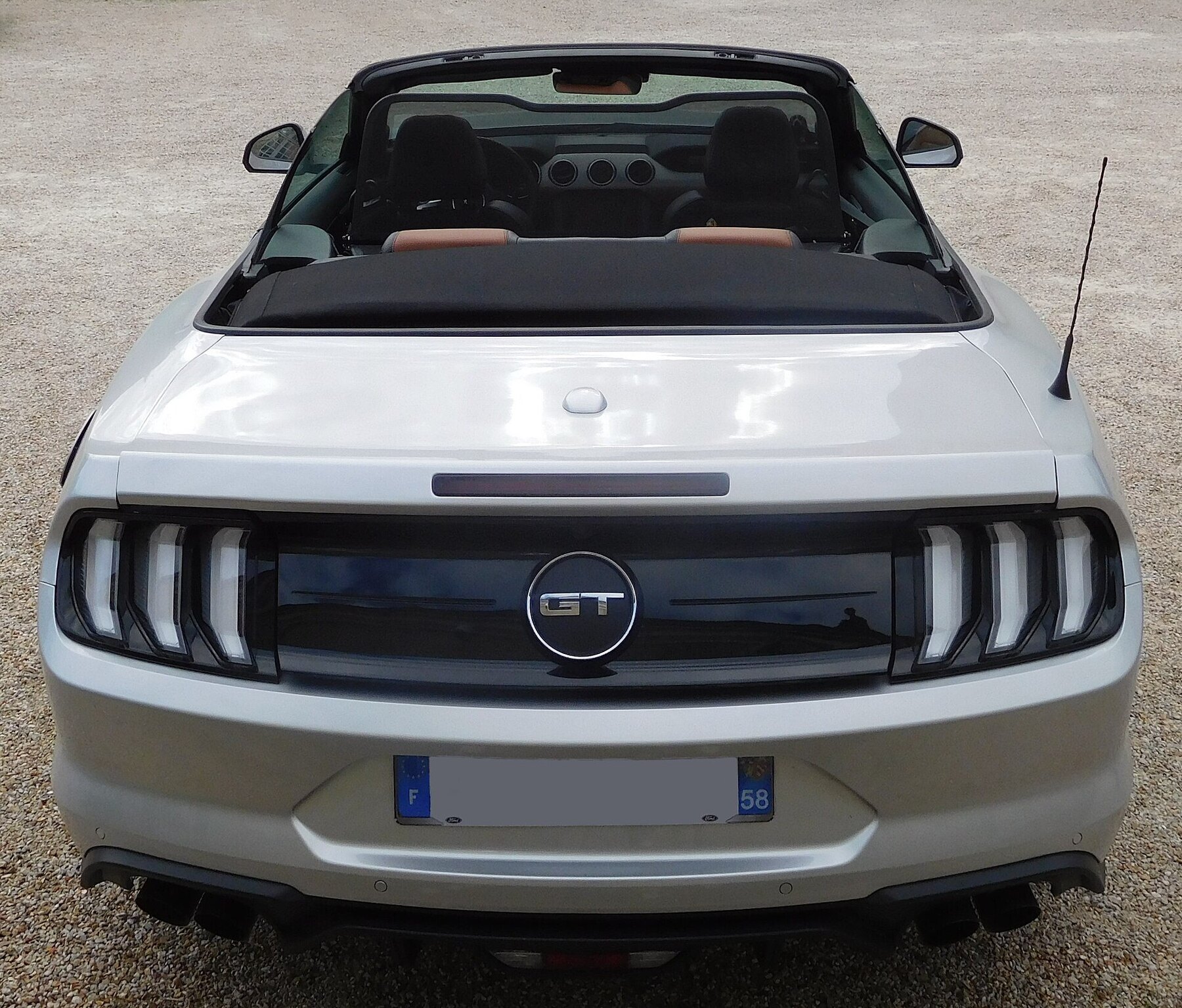 Ford Mustang GT, 2018 (2)