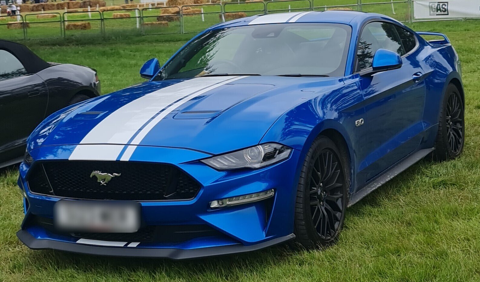 2019 Ford Mustang GT blu FOS21